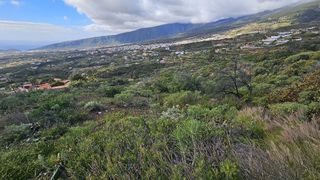 Terreno en venta en Arafo