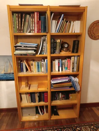 Librería de madera con libros