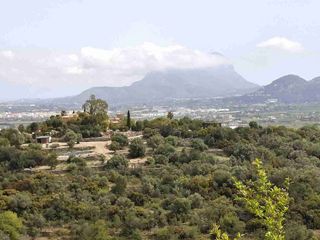 Restaurante en venta en Sanet y Negrals