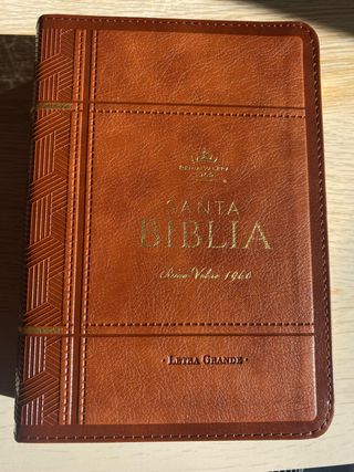 Biblia RVR 1960 letra grande
