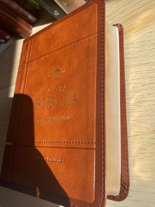 Biblia RVR 1960 letra grande
