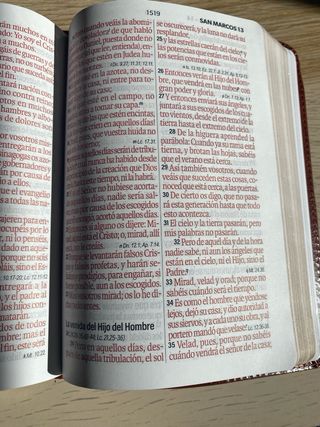 Biblia RVR 1960 letra grande