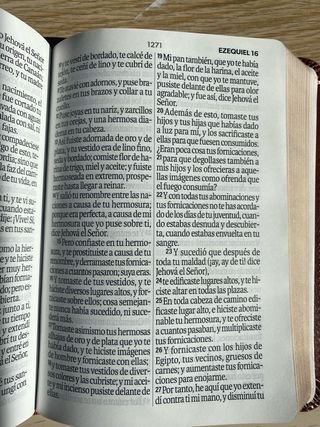 Biblia RVR 1960 letra grande
