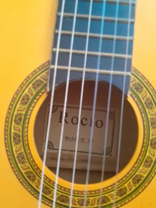 Guitarra Rocío con funda