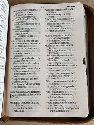 La Biblia Reina-Valera 1960