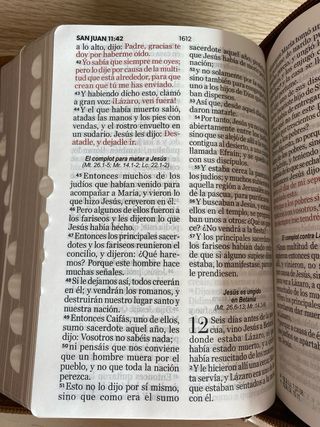 La Biblia Reina-Valera 1960