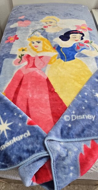 Manta Princesas Disney Cama 90