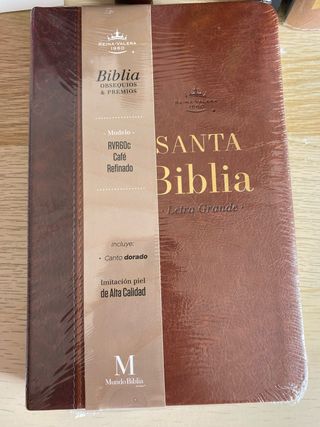 Biblia RVR 1960 letra grande