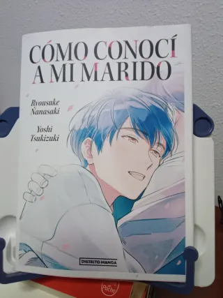 Como conoci a mi marido