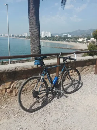Bicicleta