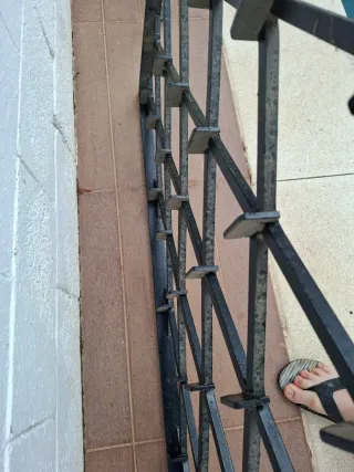 Reja de Hierro para Puerta