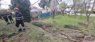 Mantenimiento de parcelas y comunidades