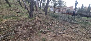 Mantenimiento de parcelas y comunidades