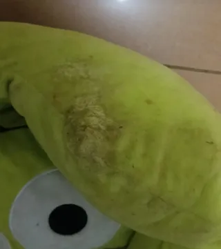 Cama para perro pequeño alienígena