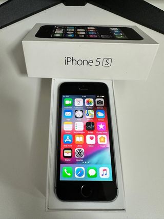 iPhone 5S Apple Negro/Plateado
