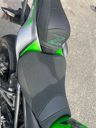 Kawasaki Z900 Verde/Plata Manual