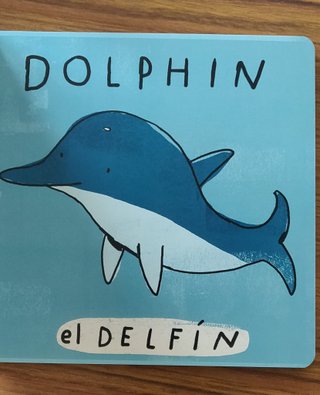 Sea Animals and Jungle Animals / Animales Del M...