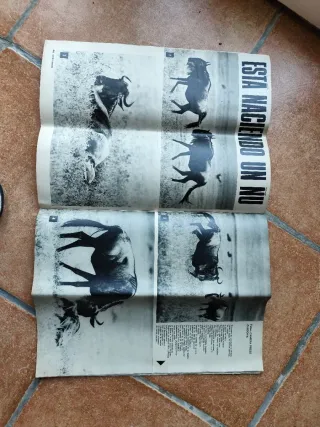 Revista Gaceta antigua 1969