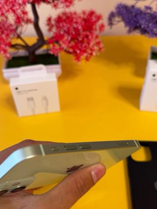 iPhone 12 Mini