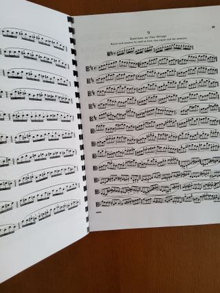 Libro Estudios Viola O. Sevcik