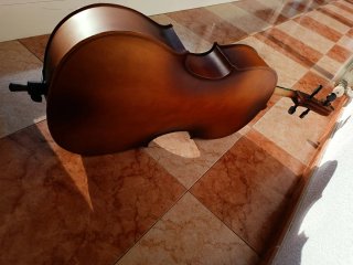 Violonchelo de estudio 1/2