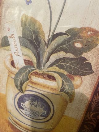 Pareja de cuadros de flores