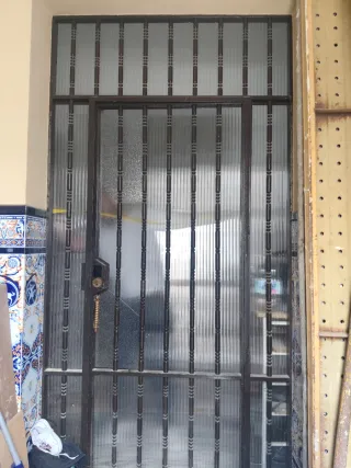 Puerta exterior con reja