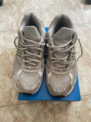 Zapatillas Adidas Grises y Blancas