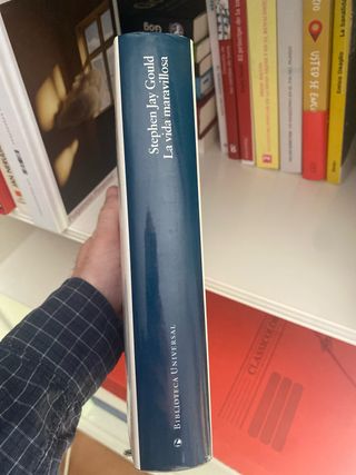 La vida maravillosa