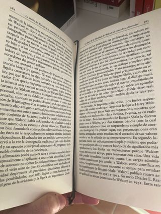 La vida maravillosa