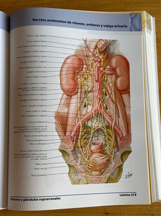 ATLAS DE ANATOMIA HUMANA 5/ED.