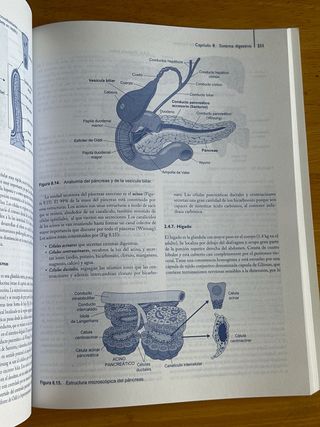 Anatomía y fisiología del cuerpo humano