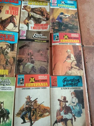 Novelas lote estefania