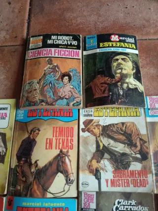 Novelas lote estefania