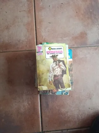 Novelas lote estefania