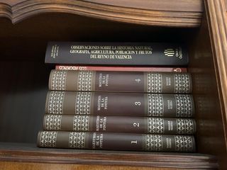 Lote 5 Libros Cavanilles Reino de Valencia