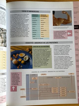Atles bàsic de Fisiologia en Català