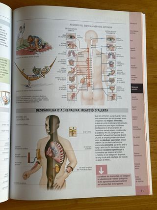 Atles bàsic de Fisiologia en Català