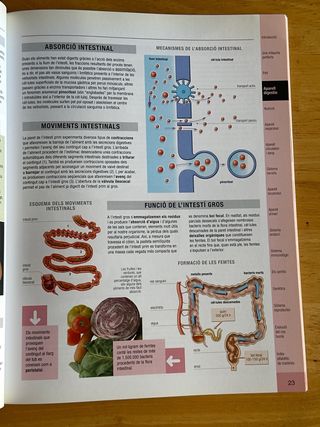Atles bàsic de Fisiologia en Català