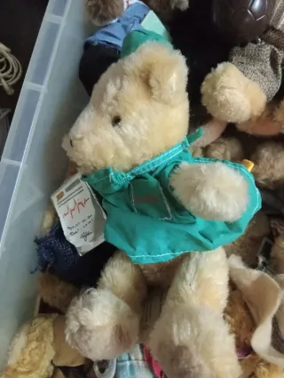 Coleção de Ursos de Pelúcia