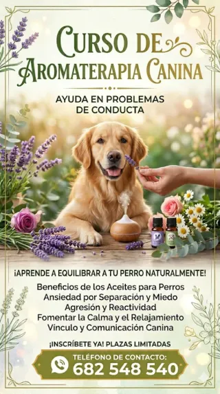 Curso Aromaterapia canina