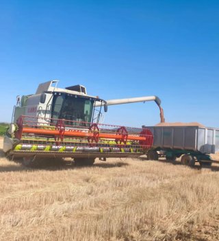 Cosechadora Claas Lexion 620