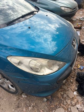 Peugeot 307 2007