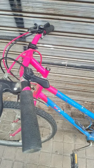 Bicicleta Montaña Azul y Rosa