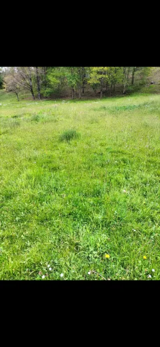 Lursaila/Terreno