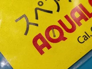 Molla contatto suoneria Citizen Aqualand C020
