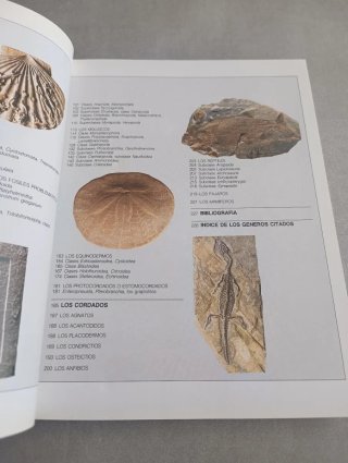 ENCICLOPEDIA ILUSTRADA DE LOS FÓSILES. Giovanni Pi