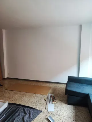 Pintor economico , serio y limpio.