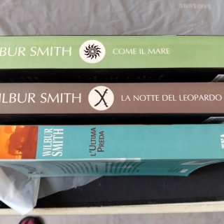 Set romanzi Wilburn Smith