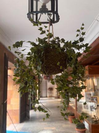 Planta Artificial Hiedra Colgante Decoración